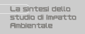 La sintesi dello studio di Impatto Ambientale