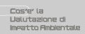 Cos'&egrave; la Valutazione di Impatto Ambientale