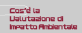 Cos'&egrave; la Valutazione di Impatto Ambientale