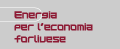 Energia elettrica per l'economia forlivese
